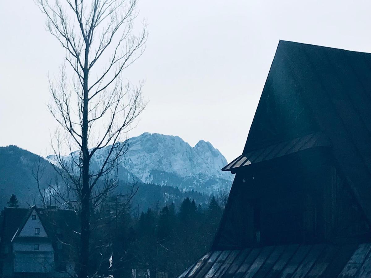 Willa Pod Gorami Zakopane Extérieur photo